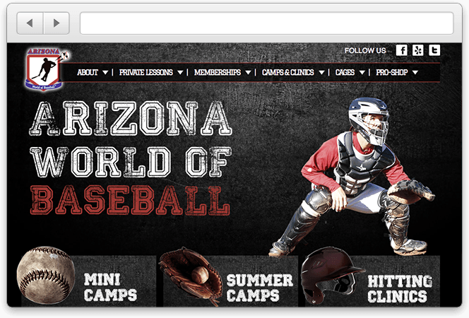 Arizona World Of Baseball Web Design